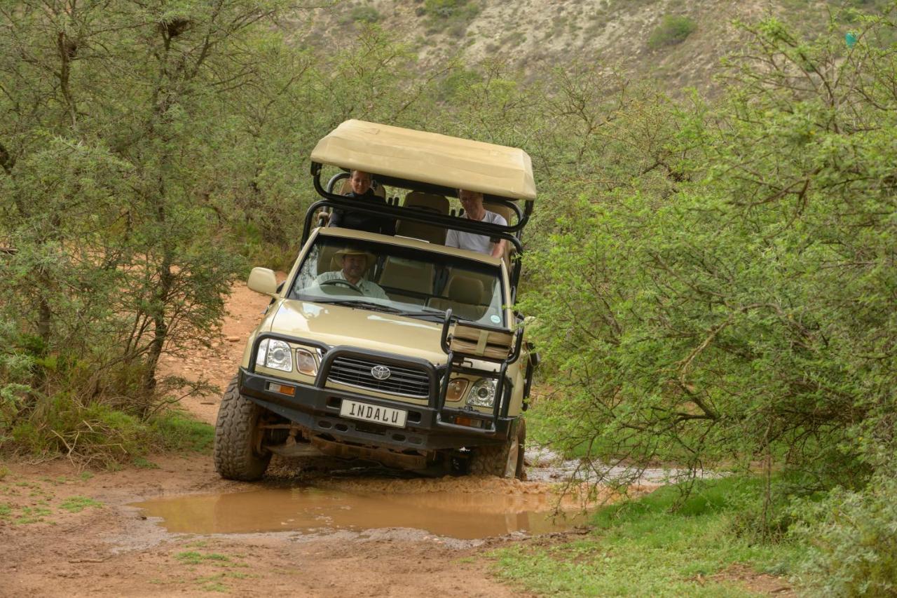 Indalu Game Reserve Boggomsbaai Exterior foto