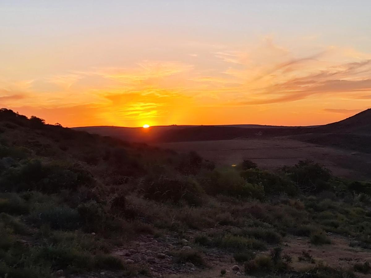 Indalu Game Reserve Boggomsbaai Exterior foto
